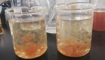 焦化废水脱色处理