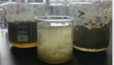 餐余垃圾废水污泥脱水