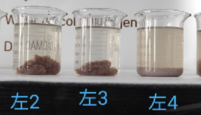 废水脱色试验