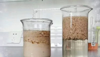 哪种聚丙烯酰胺能有效处理含油废水?