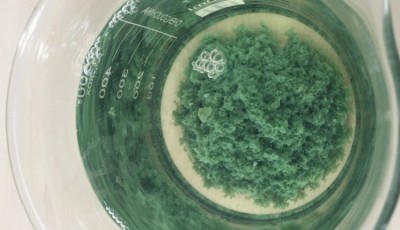 絮凝剂用量过大,可能有这几个原因!