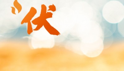 入伏啦!持续40天!