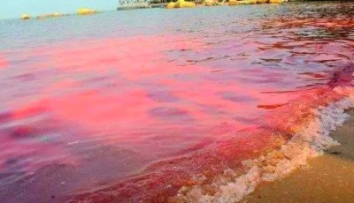发酵污水高色度污染怎么处理?高色度污水就使用脱色剂!