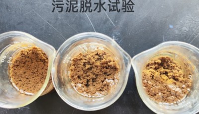 污泥脱水试验