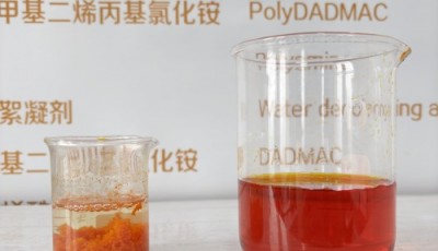 染料后处理废水脱色