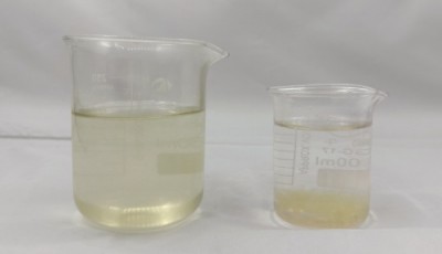 藻水处理