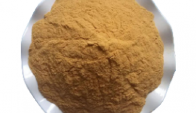 污水除磷剂的使用方法有2种!