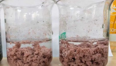 油漆废水(底漆)处理